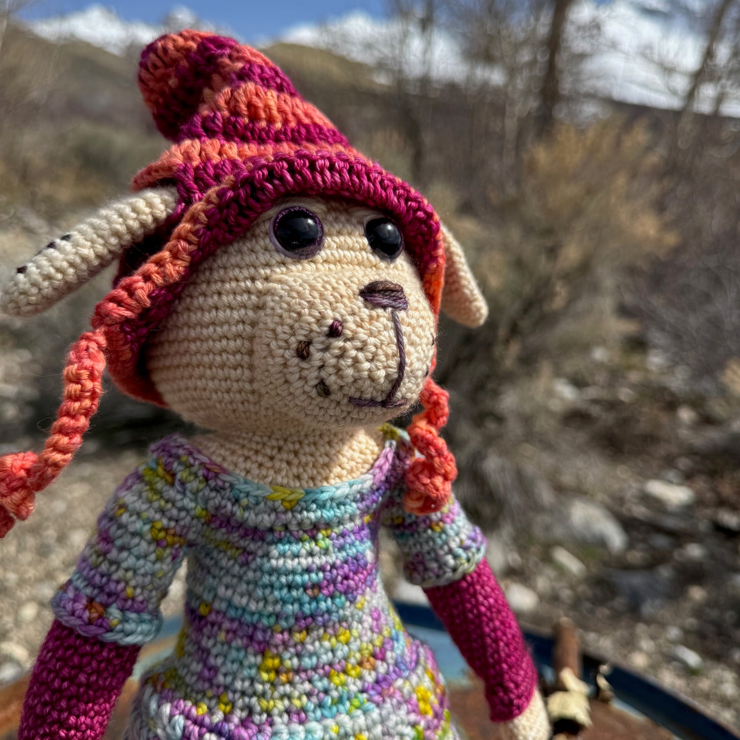 Girl Dog in Removable Orange and Pink Hat, Multicolor Dress