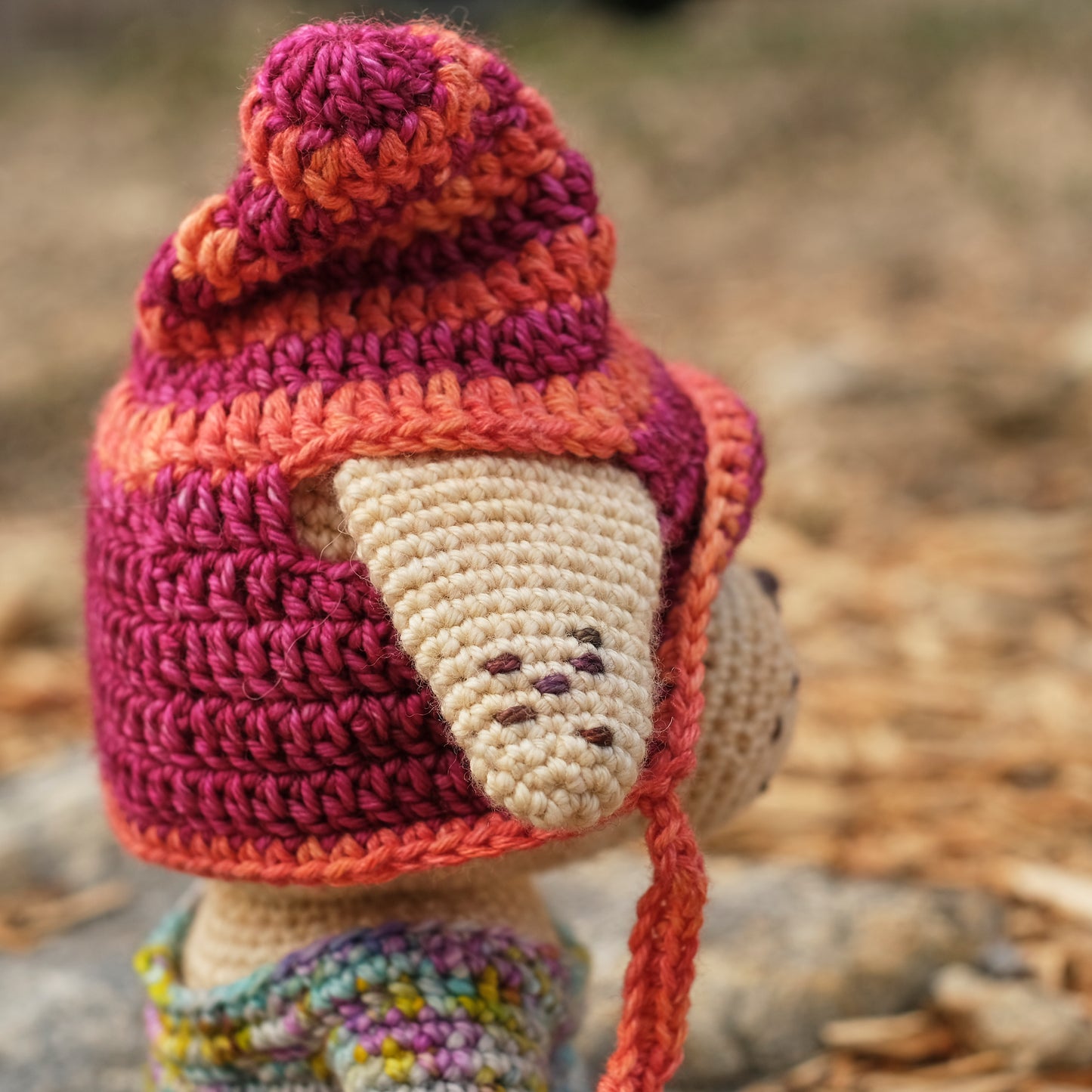 Girl Dog in Removable Orange and Pink Hat, Multicolor Dress