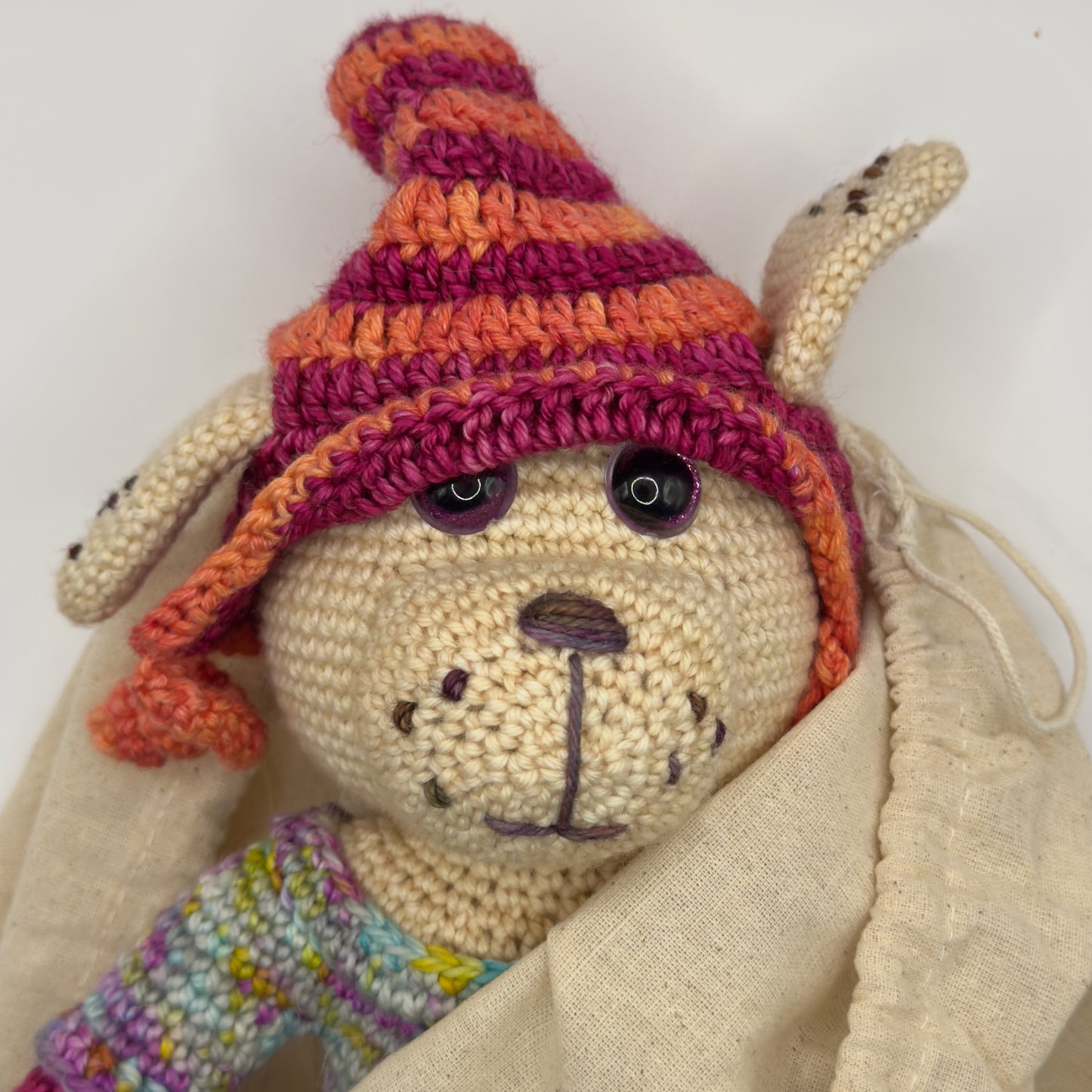 Girl Dog in Removable Orange and Pink Hat, Multicolor Dress