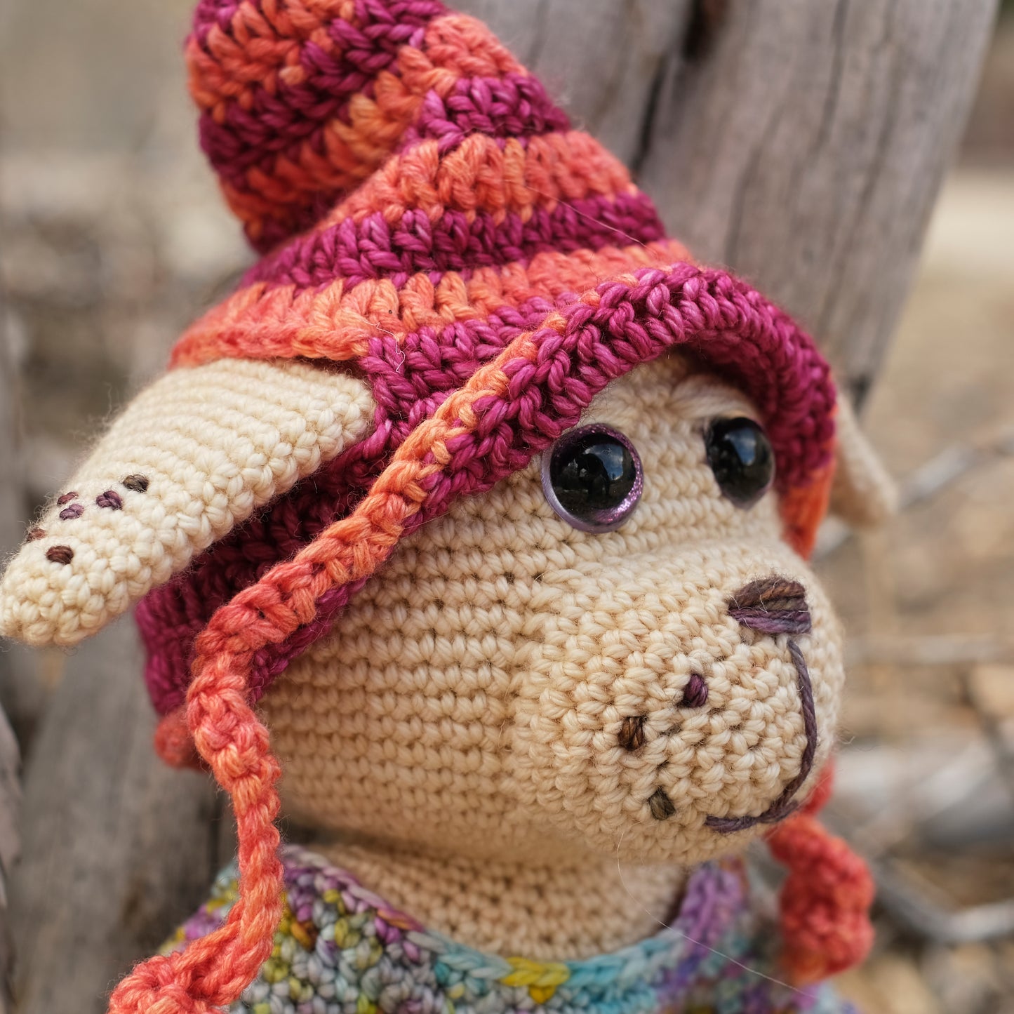 Girl Dog in Removable Orange and Pink Hat, Multicolor Dress