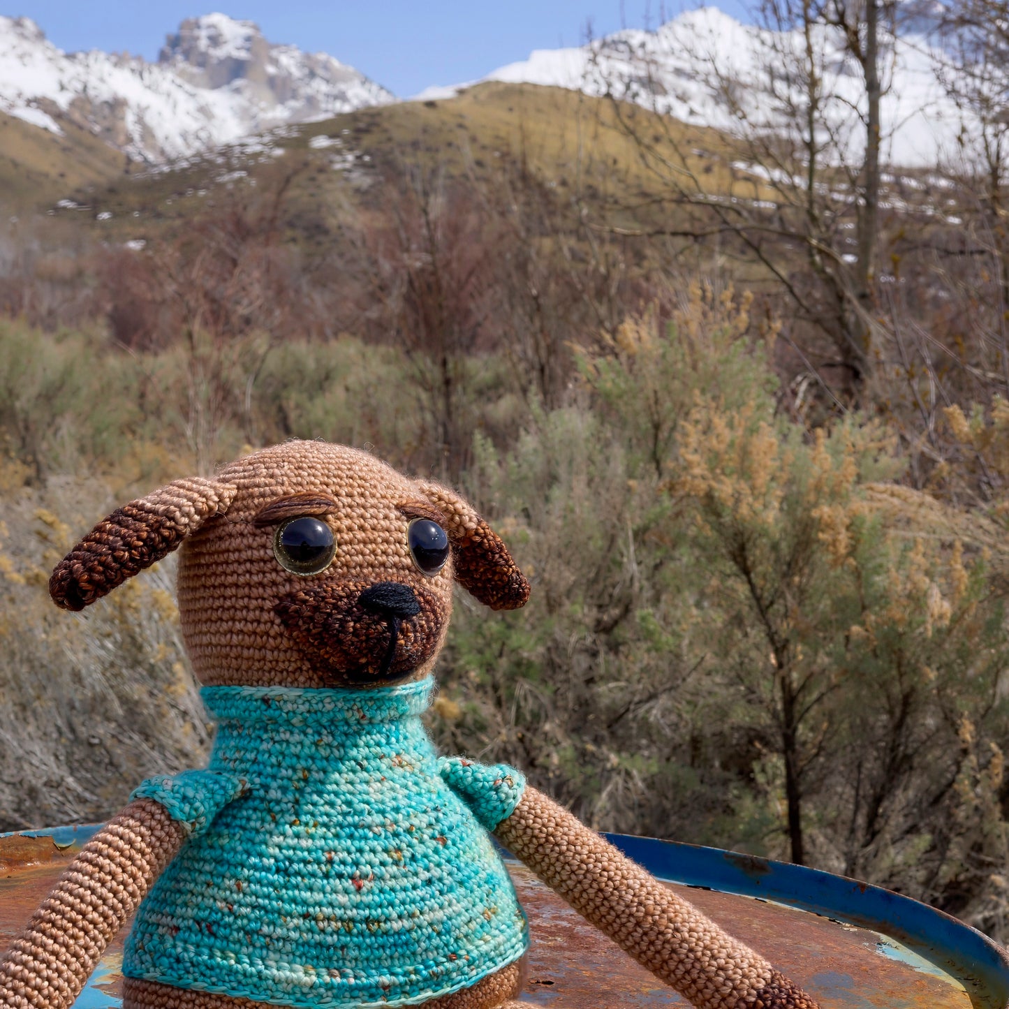 Large Crochet Dog in Blue Sweater