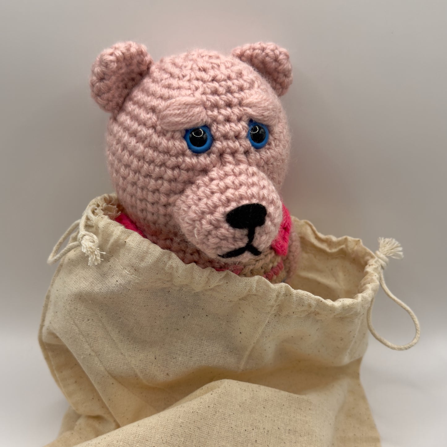 Pink Crochet Bear with Blue Eyes