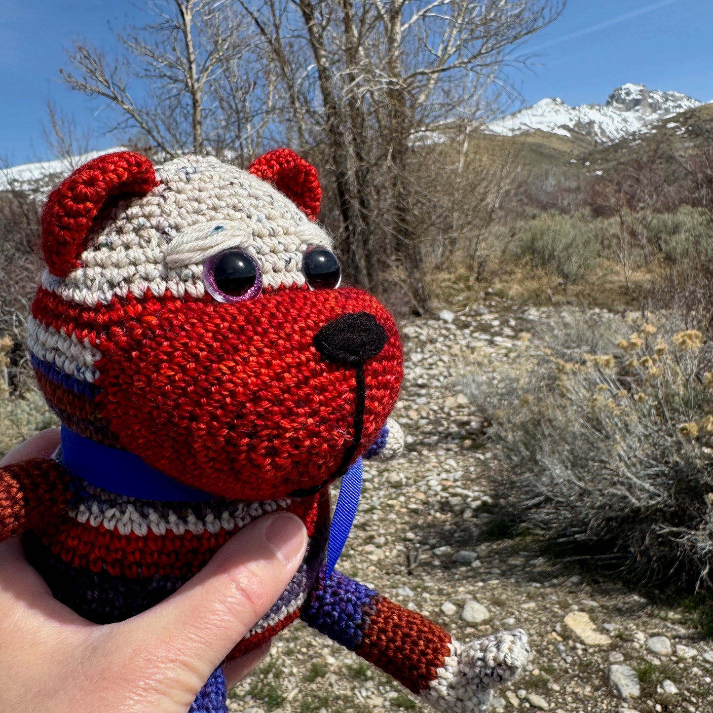 Red White and Blue Bear